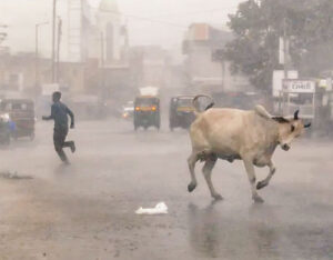 Tornadoes and strong winds accompanied by rain in Rajasthan, many houses collapsed, two dead, more than 20 injured