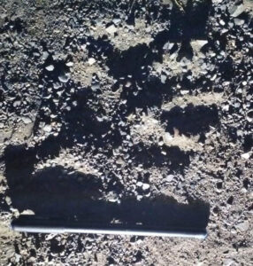 Leopard came again in Mhow military area