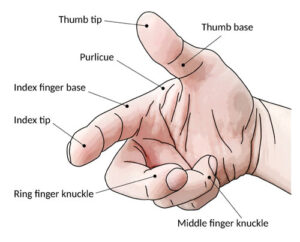 Fingers will tell when the money will come?