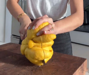 biggest lemon found