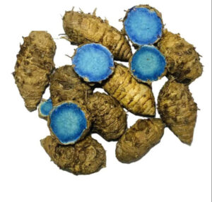 kali haldi health benifits