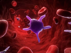 Relation of platelets and diseases