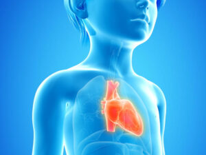 Why are school children dying of heart attacks?