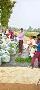 M.P. First place in the country in the production of spice crops, production of 54 lakh metric tons in the year 2023-24.