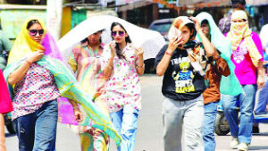 Half of India is in the grip of severe heat, alert issued