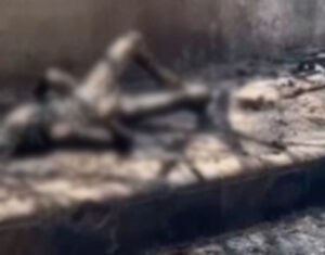 ahmedabad plane crash