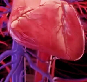 Econext A great news for patients suffering from heart disease