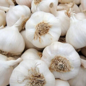 garlic benefits