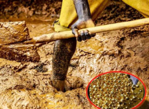 20 kg gold washed away in flood