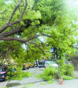 Stormy winds blew at a speed of 93 km per hour, rain made the weather pleasant.